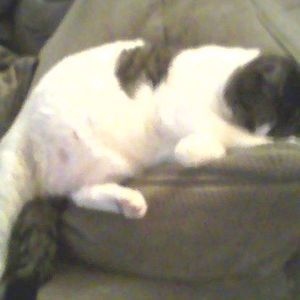 Meet your Posher, Gary